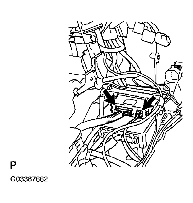 G03387662