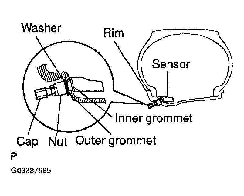 G03387665