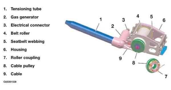 G03391558