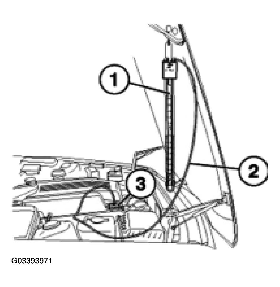 G03393971