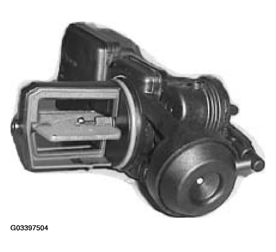 G03397504