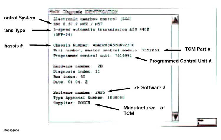G03403829