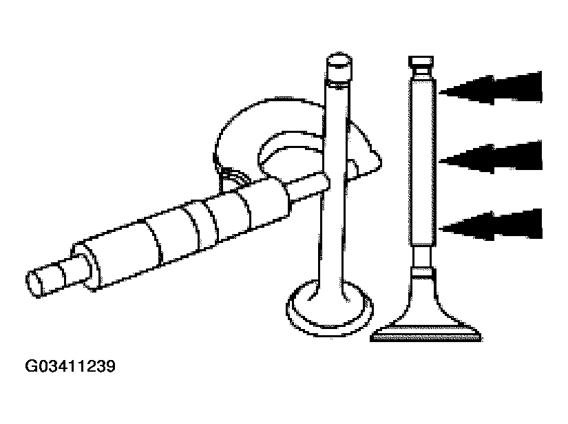 G03411239