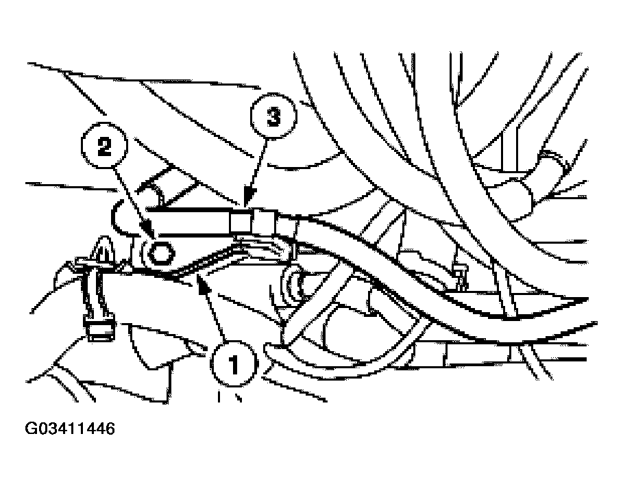 G03411446