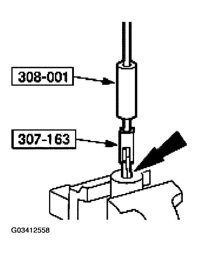G03412558