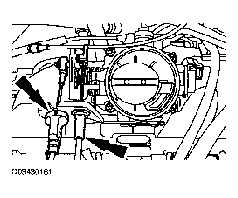 G03430161
