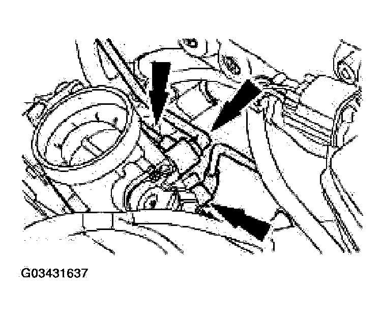 G03431637