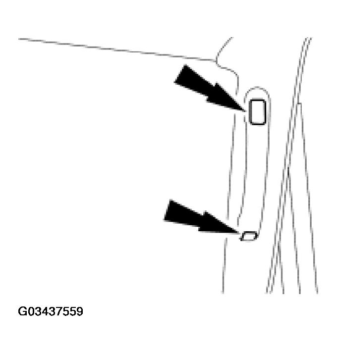 G03437559