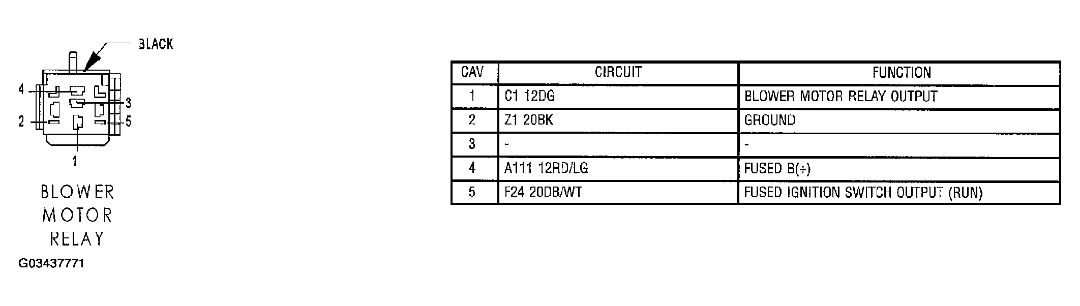 G03437771
