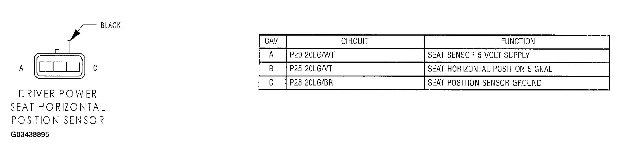 G03438895