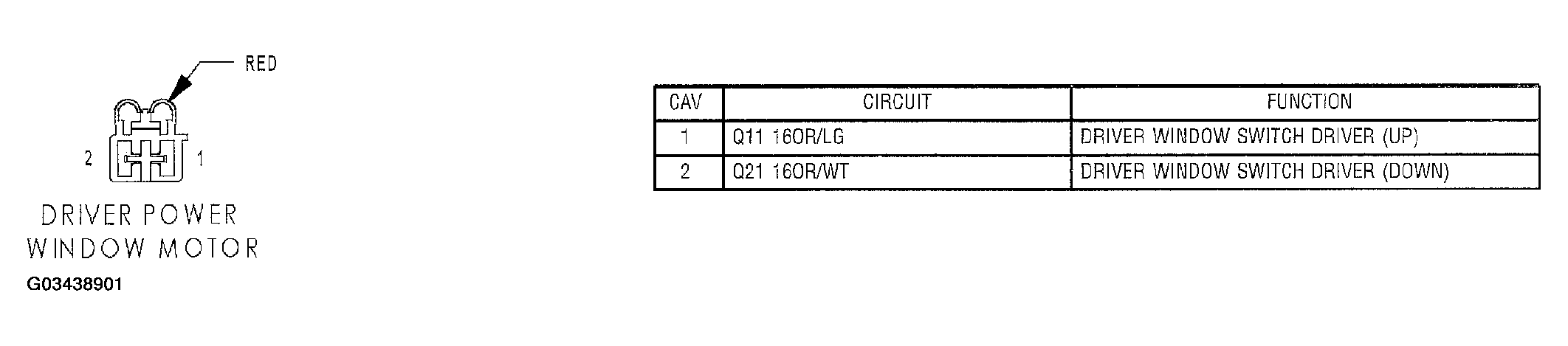 G03438901