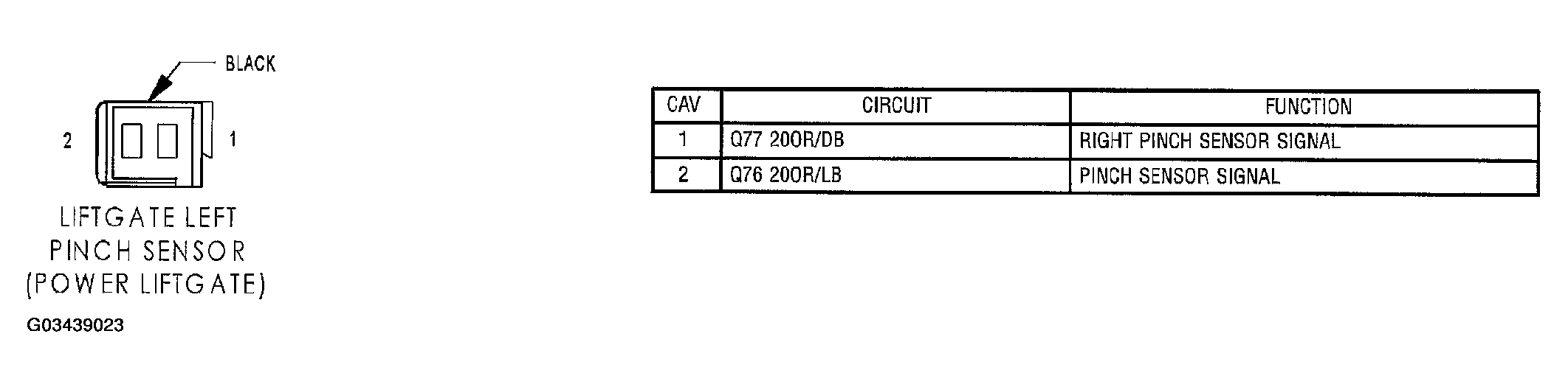 G03439023