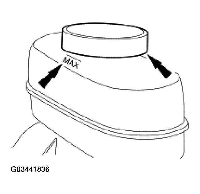G03441836
