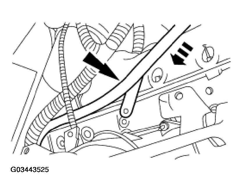G03443525