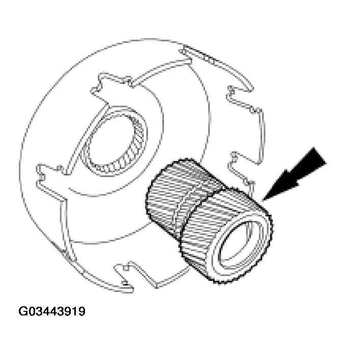 G03443919