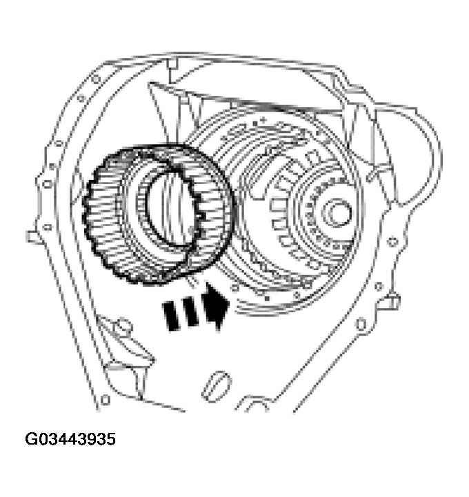 G03443935