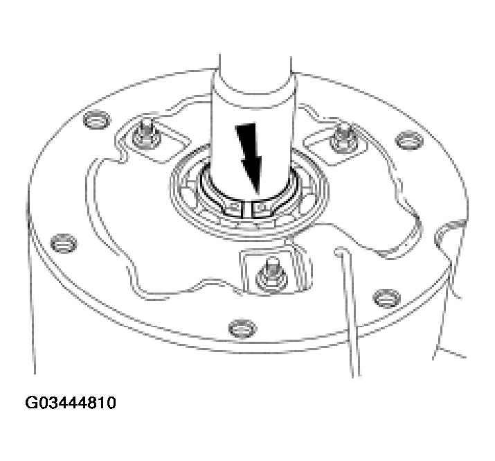 G03444810