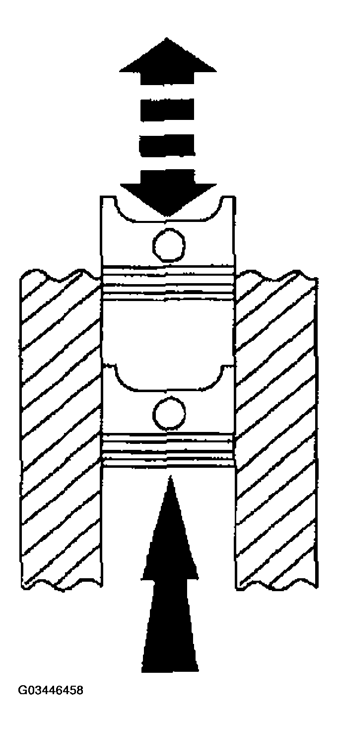 G03446458