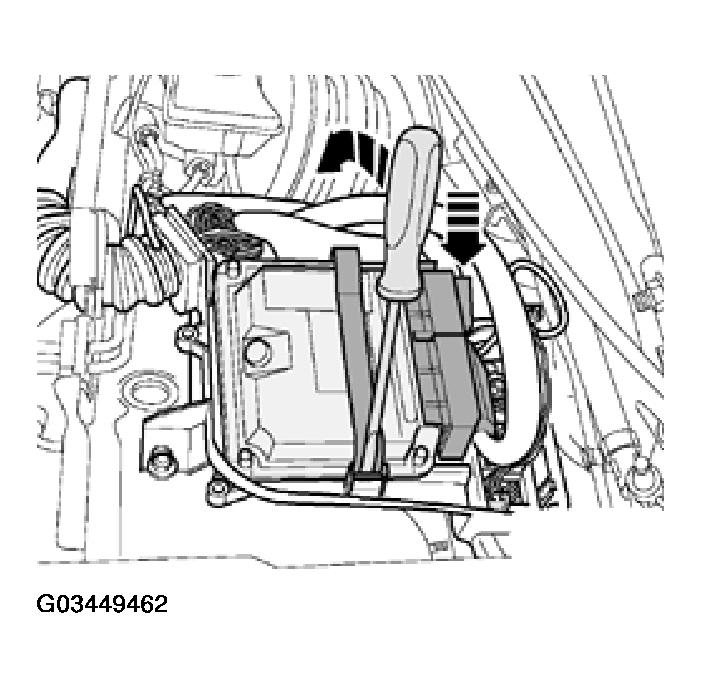 G03449462