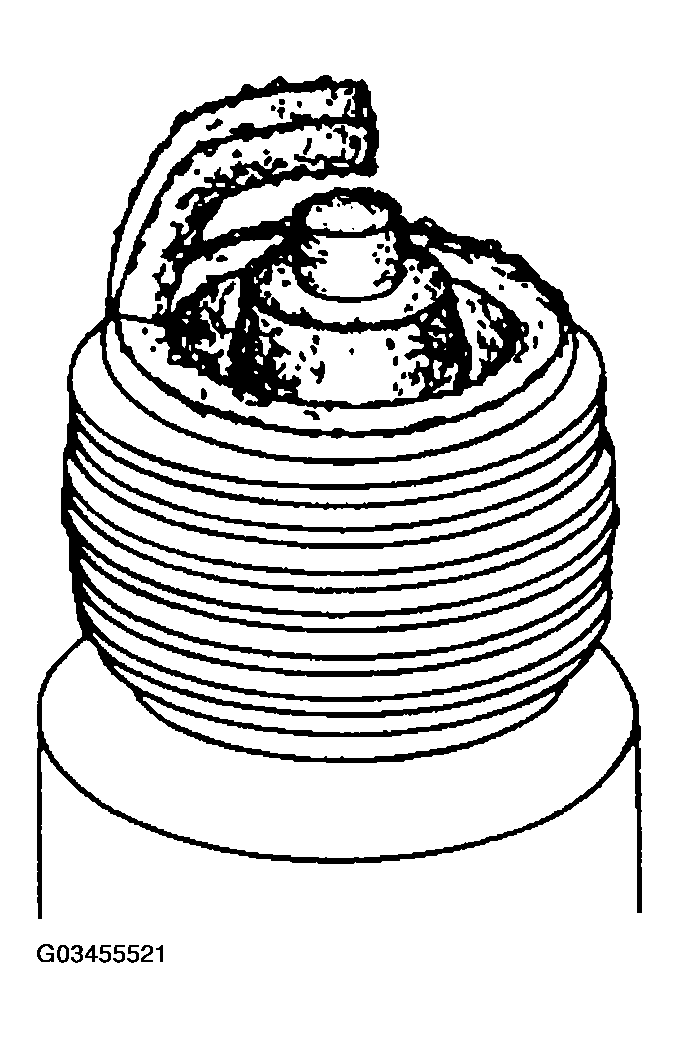 G03455521