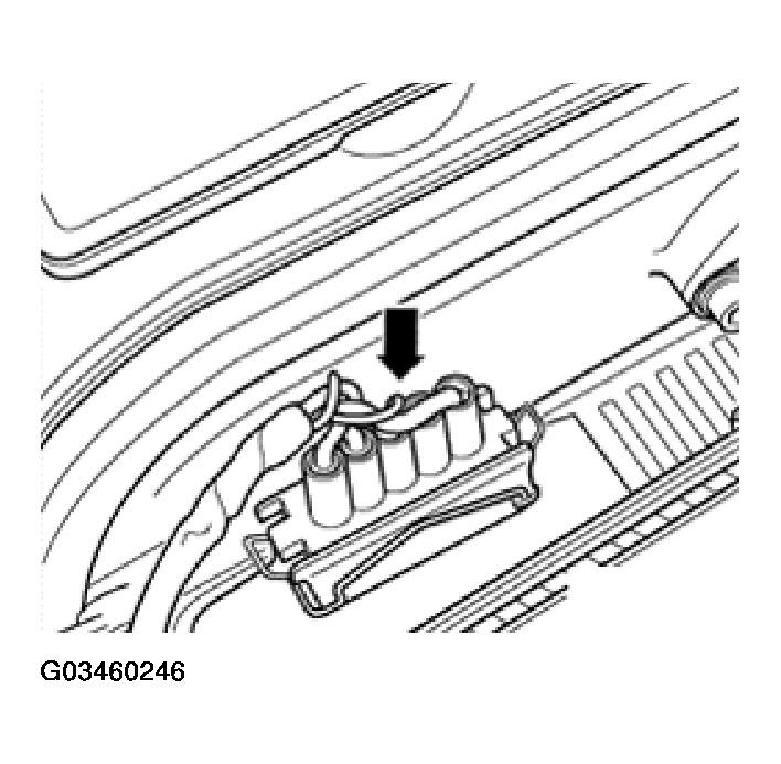 G03460246