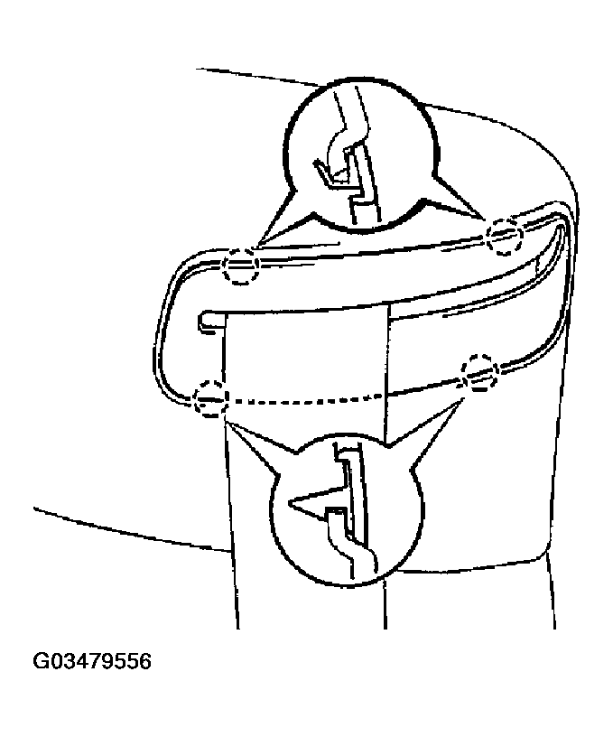 G03479556