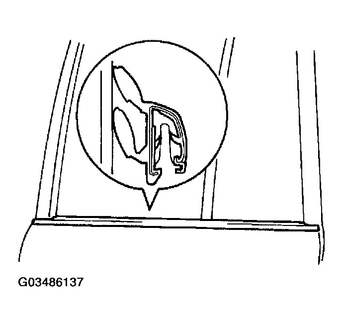 G03486137
