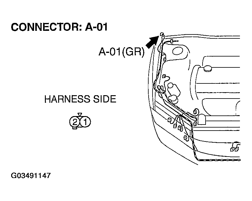 G03491147