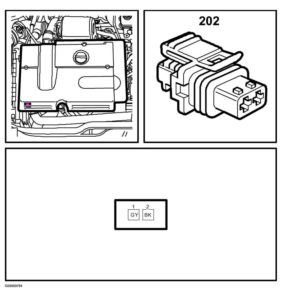 G03503794