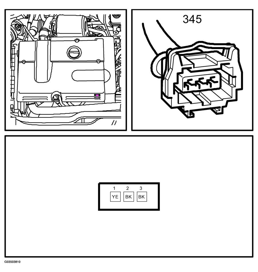 G03503810