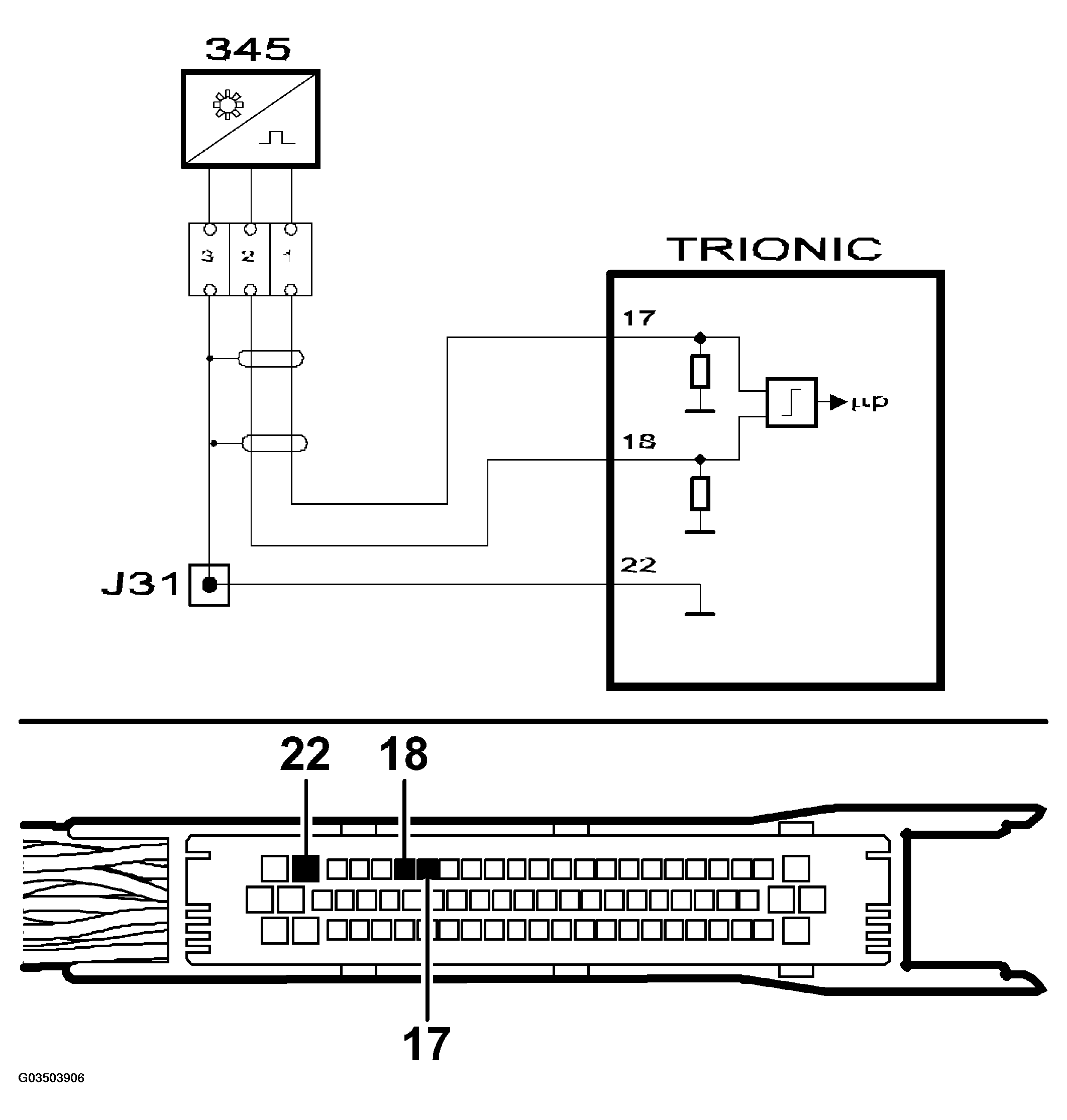 G03503906