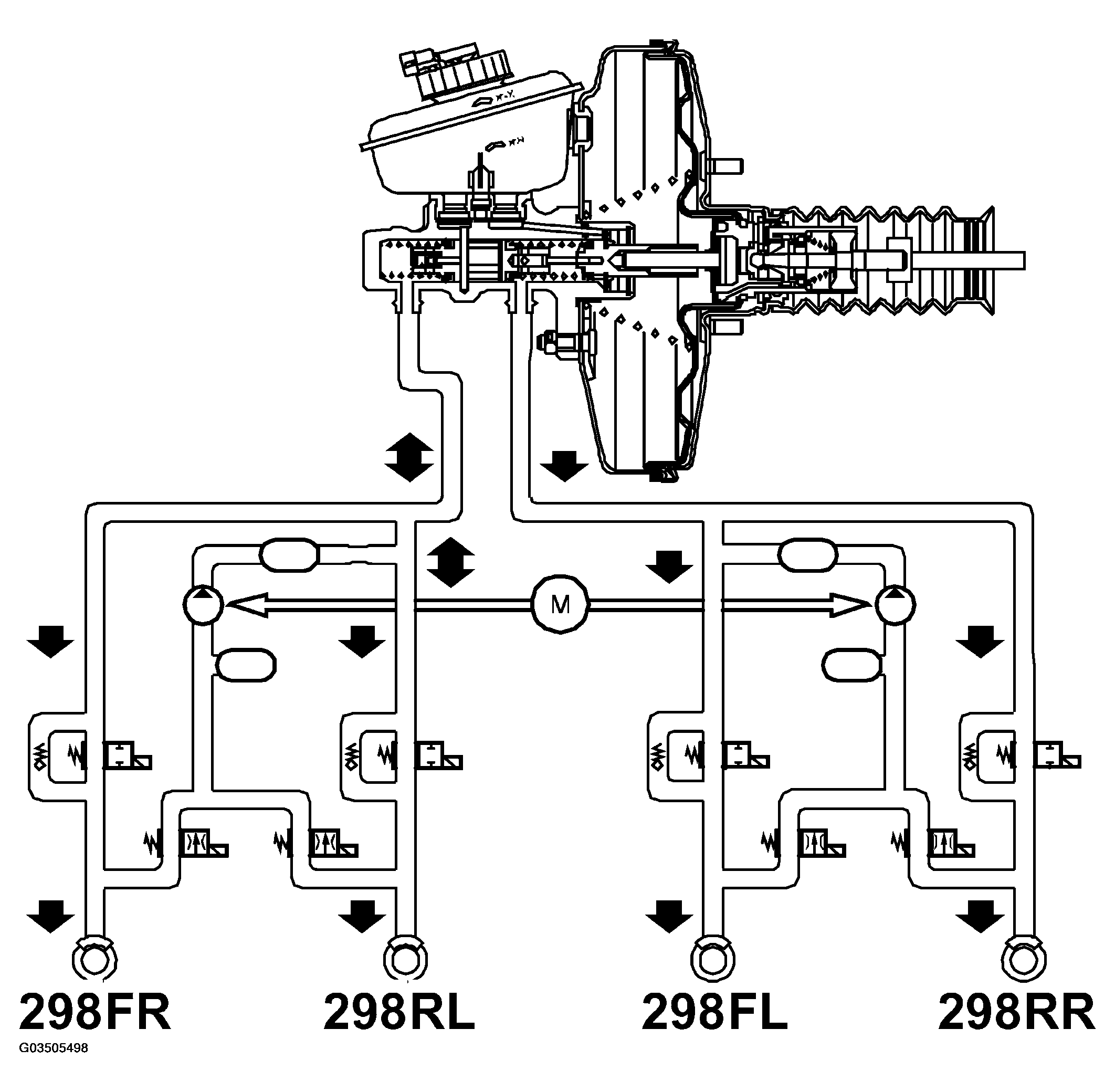 G03505498