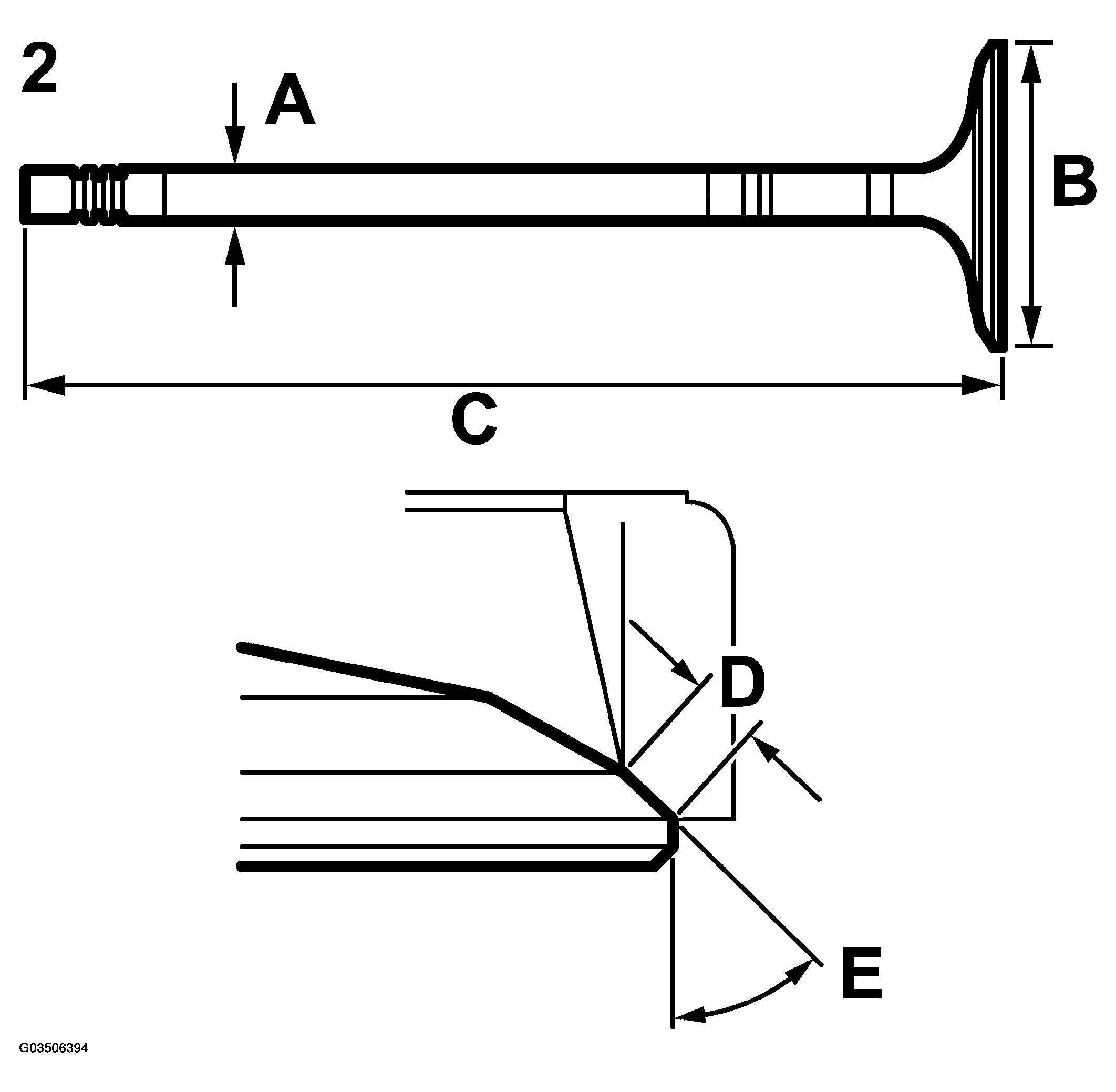 G03506394