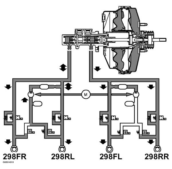 G03514313