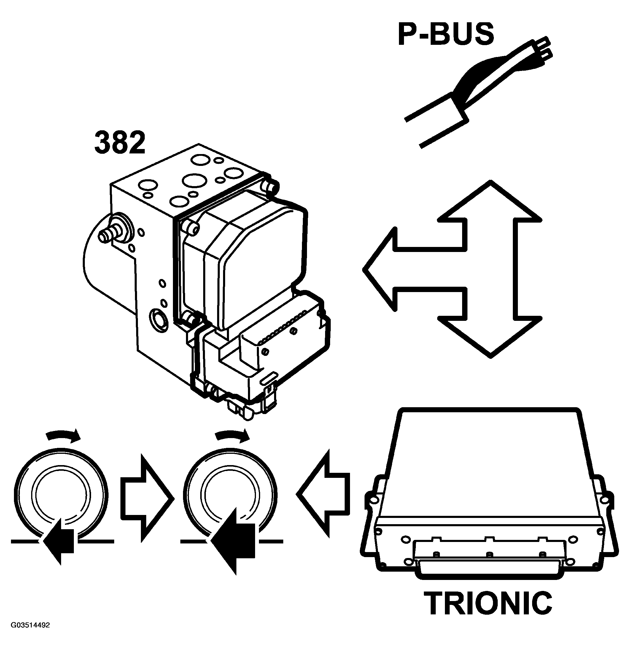 G03514492