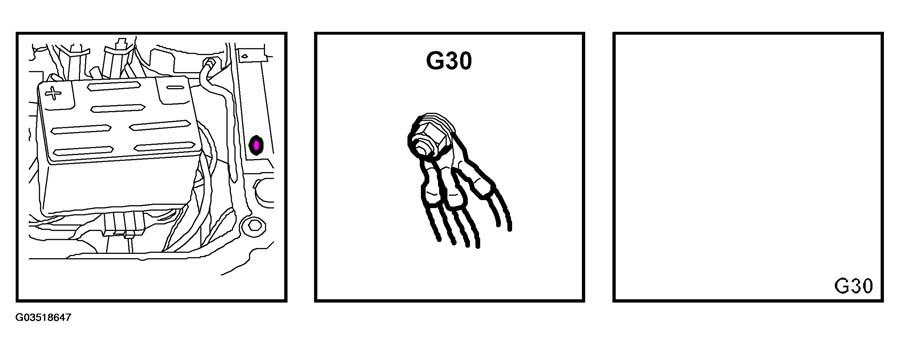 G03518647