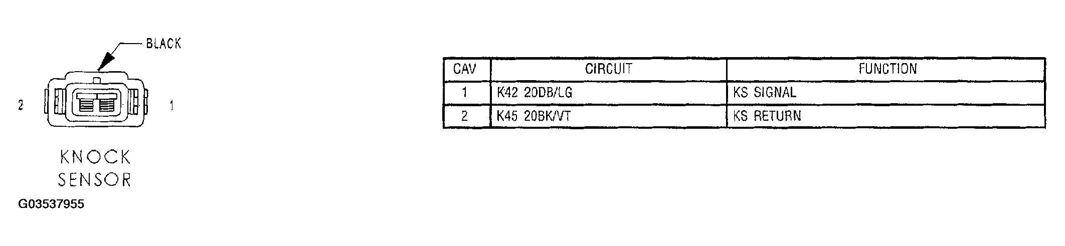 G03537955
