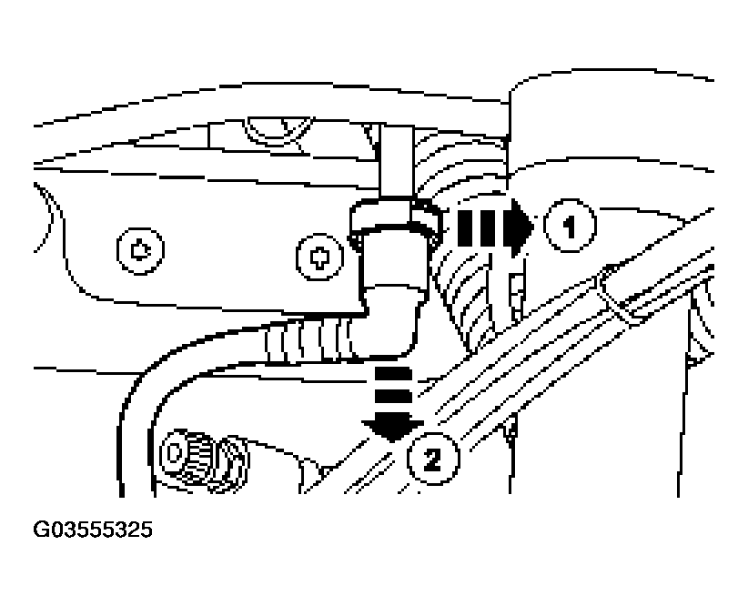 G03555325