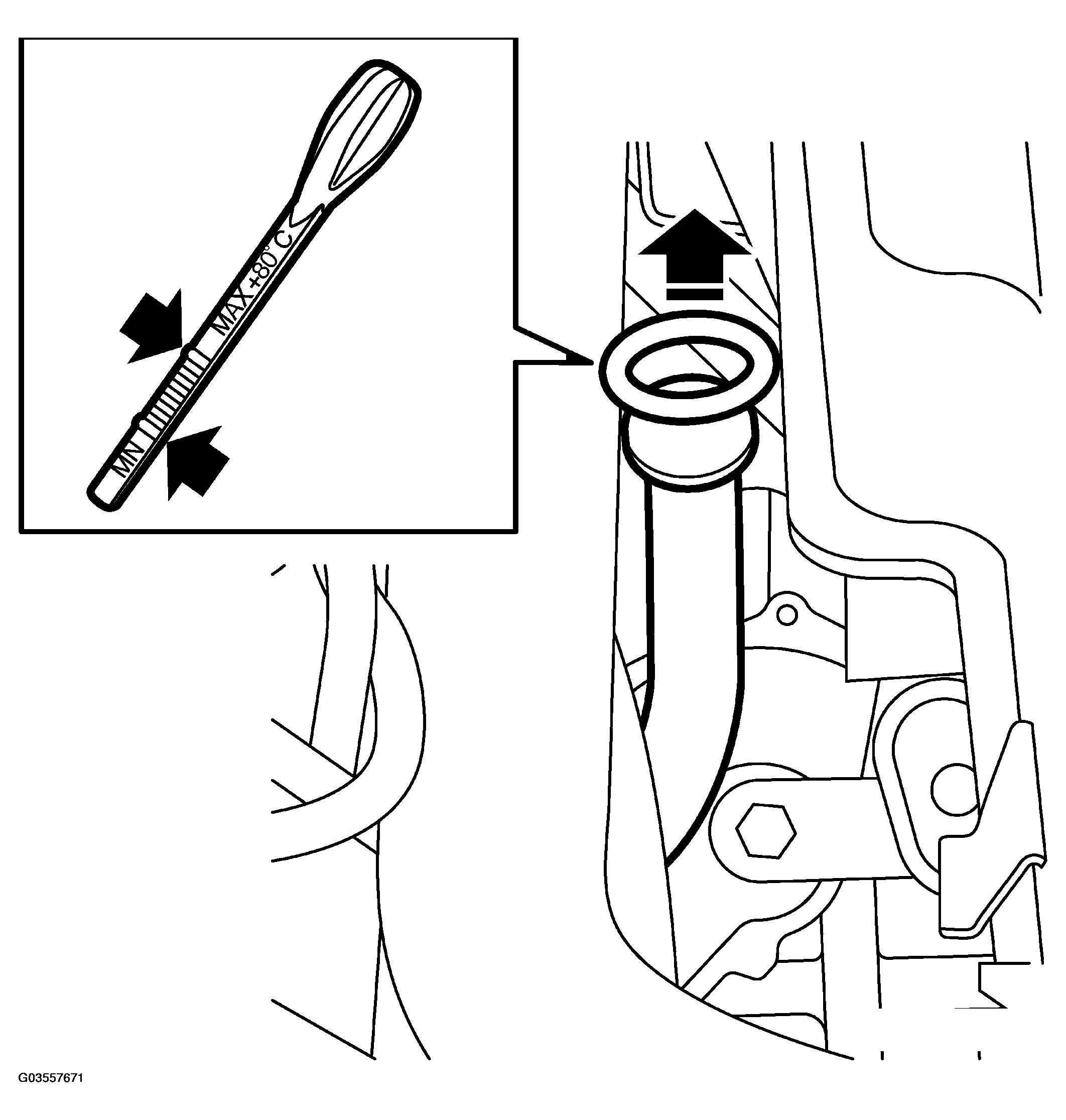 G03557671