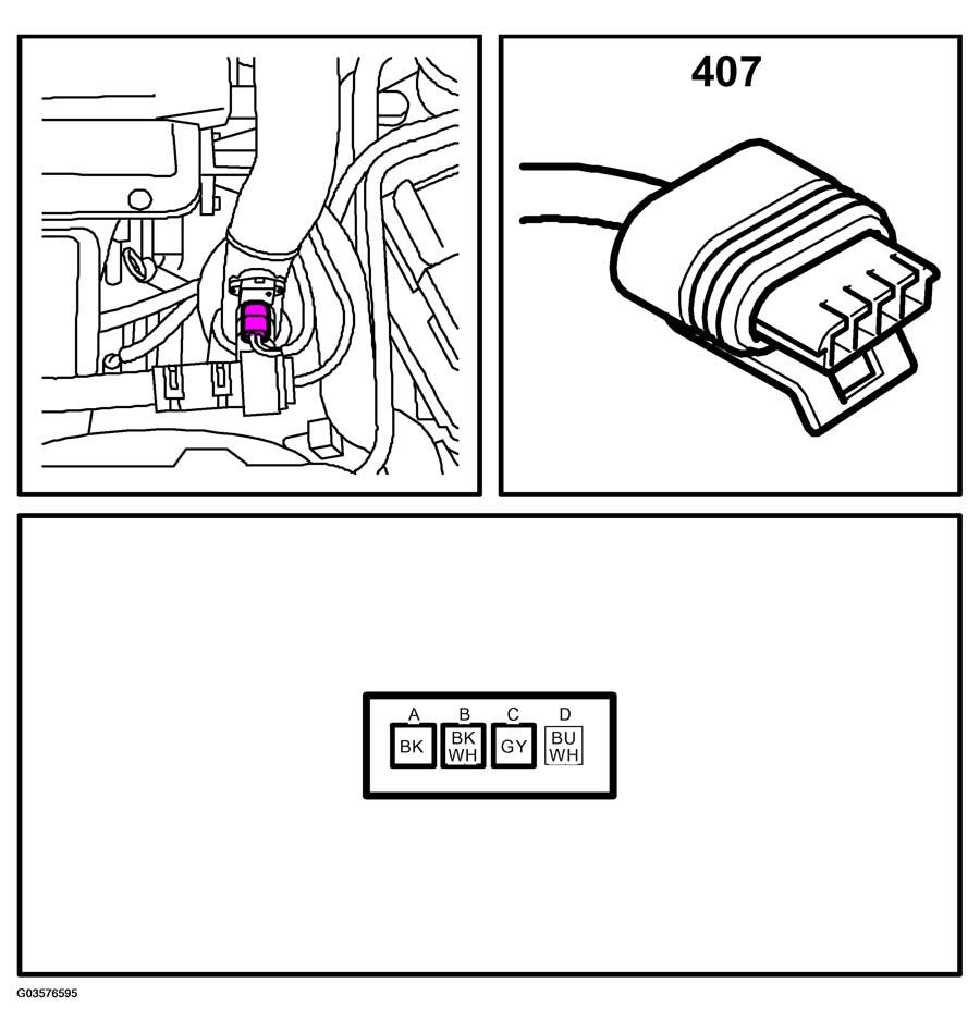 G03576595