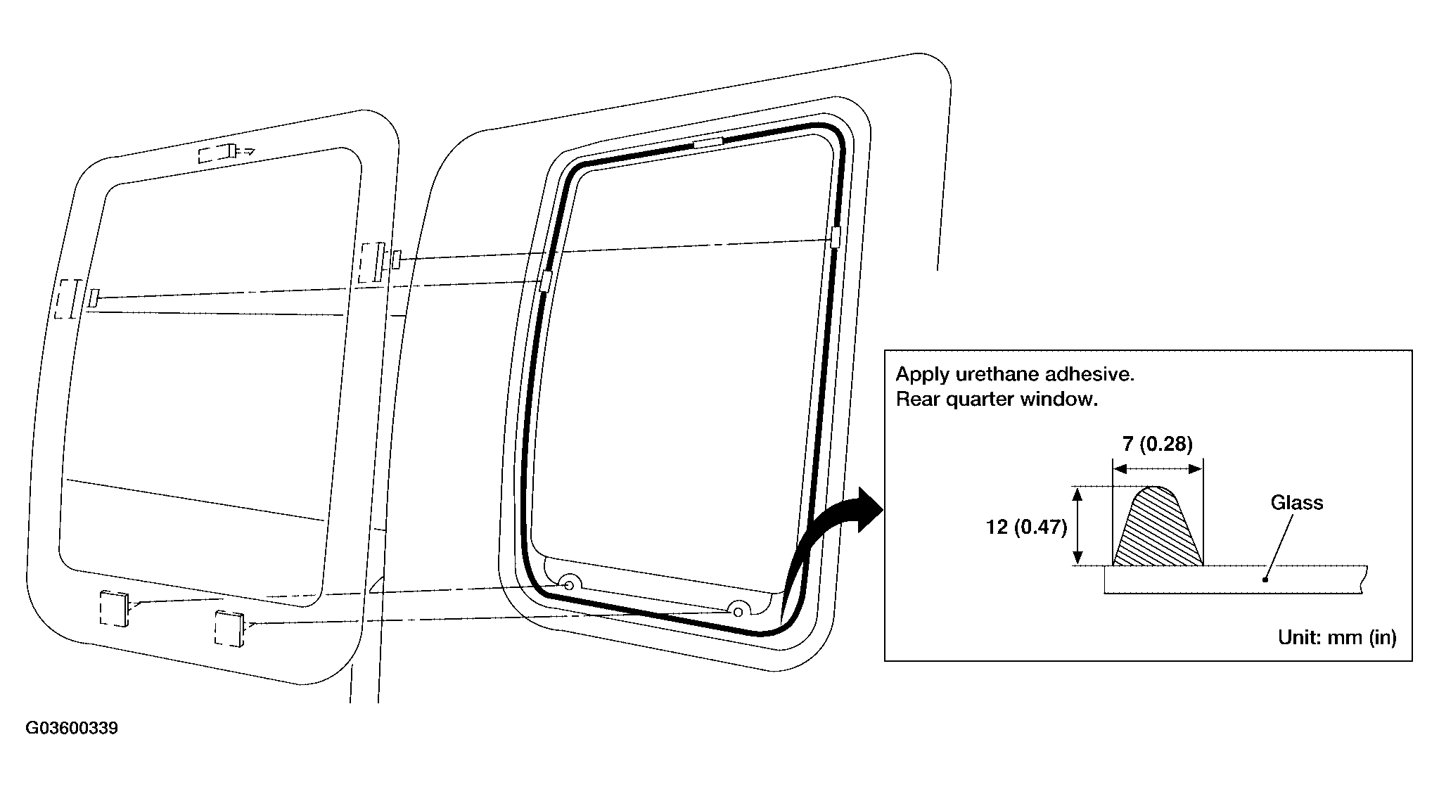 G03600339