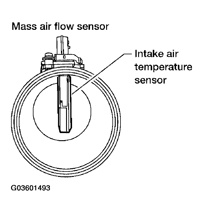 G03601493