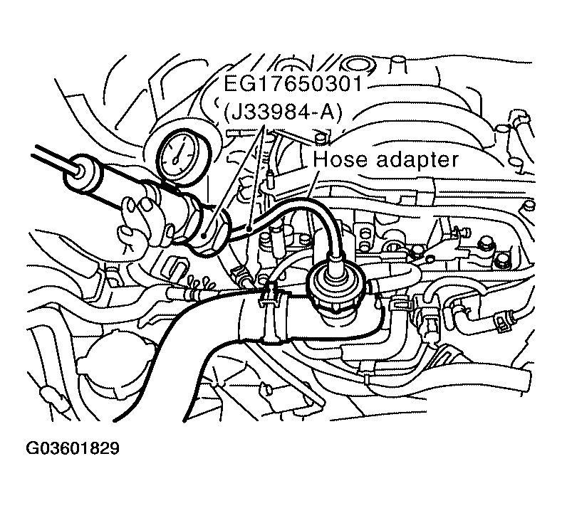 G03601829