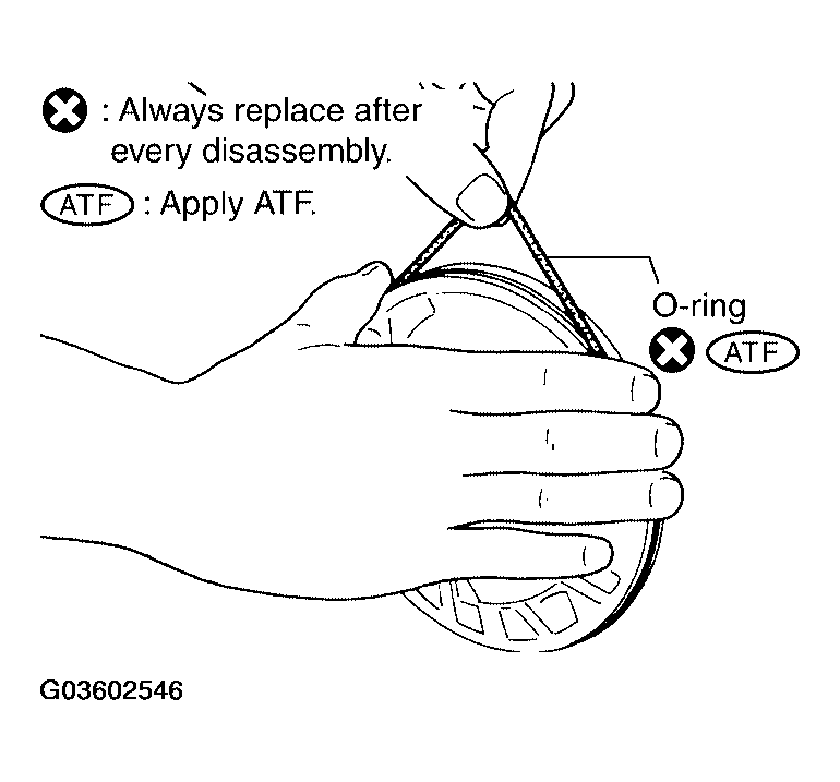 G03602546