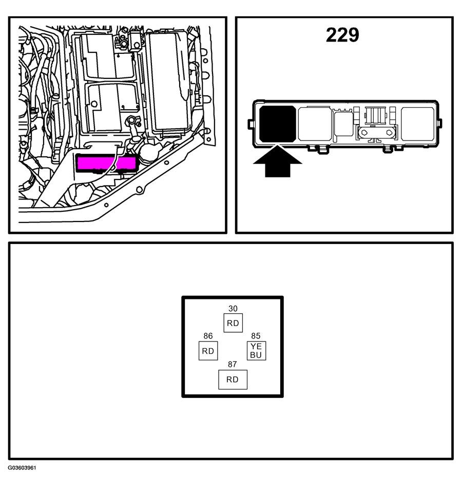 G03603961