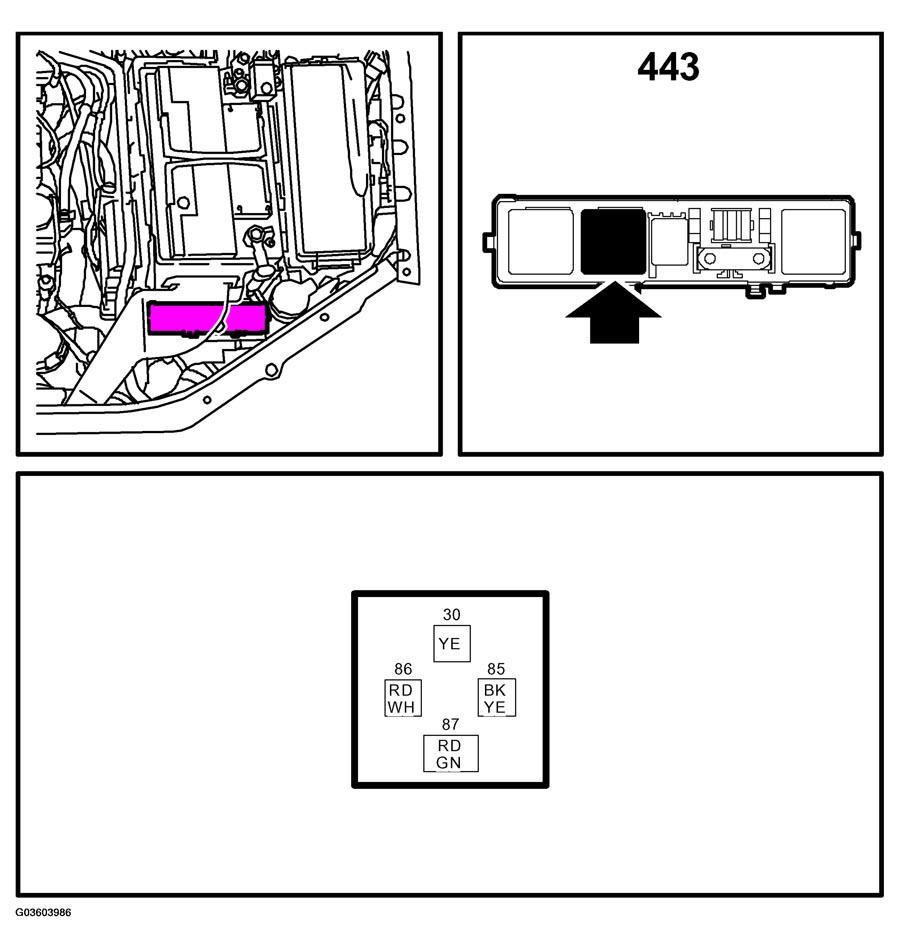 G03603986