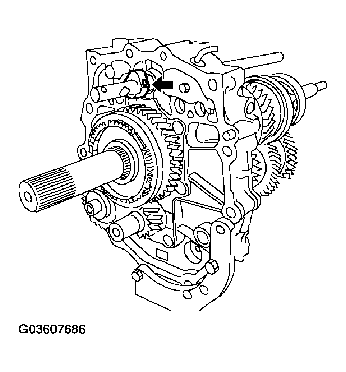 G03607686