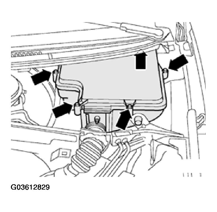 G03612829