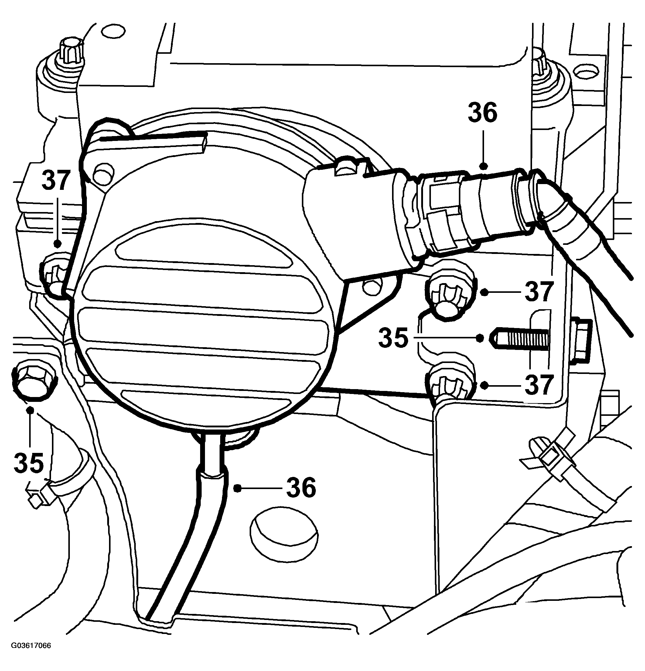 G03617066