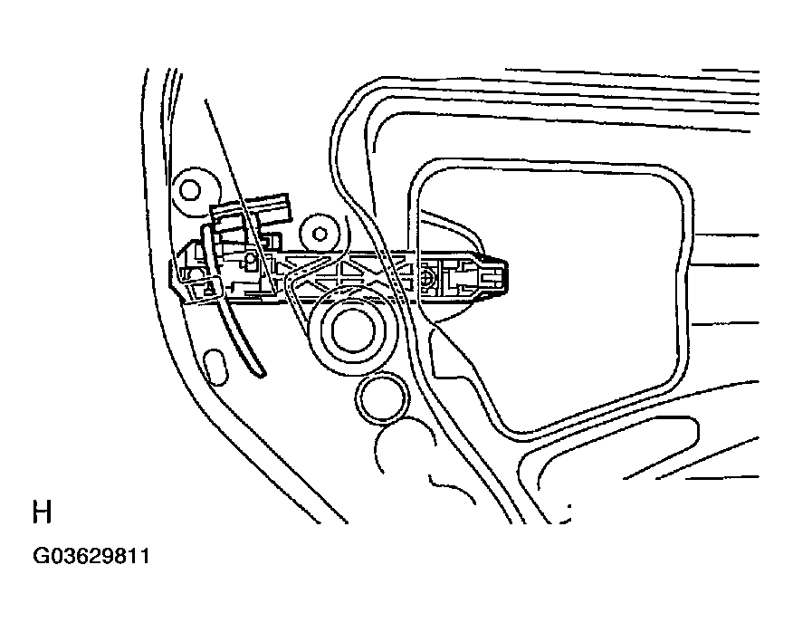 G03629811